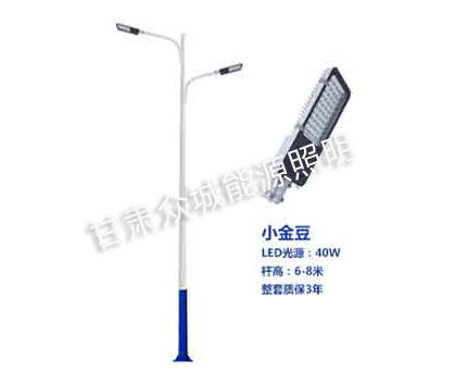 桑日爆款市电路灯